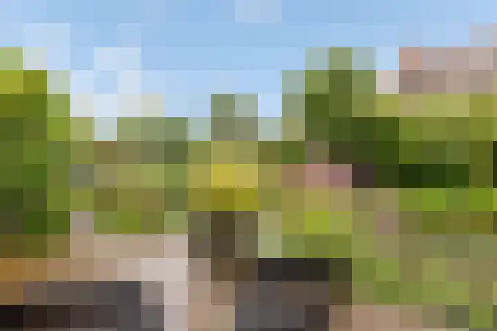 Hemminckmate 24 Zwolle thumbnail 33