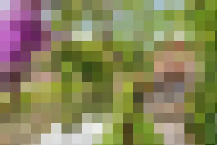 Hemminckmate 24 Zwolle thumbnail 34