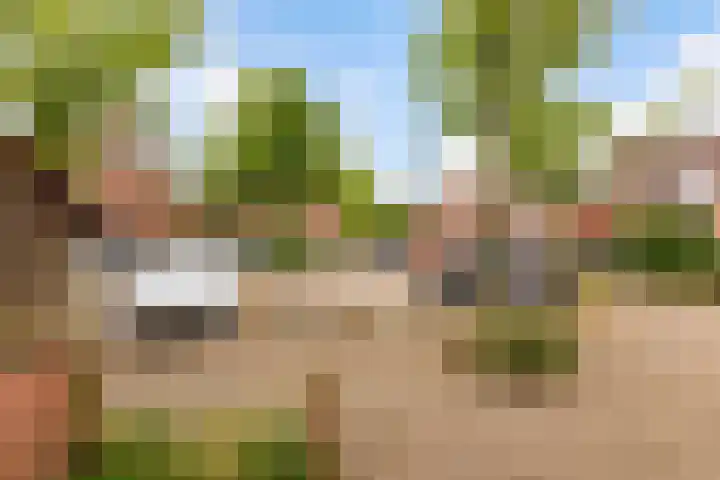 Hemminckmate 24 Zwolle thumbnail 35