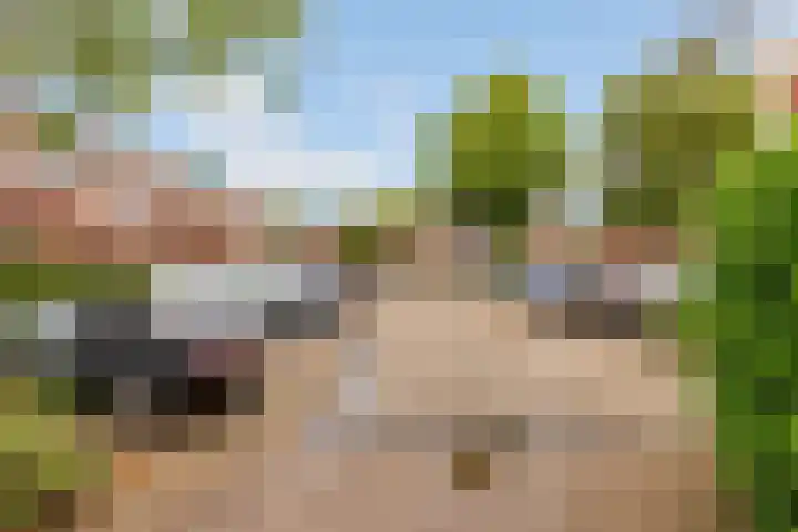 Hemminckmate 24 Zwolle thumbnail 37