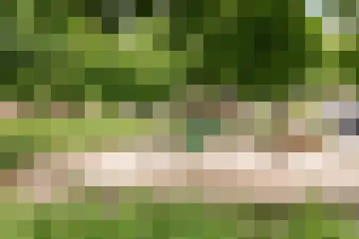 Hemminckmate 24 Zwolle thumbnail 38