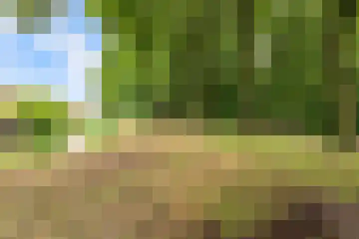Hemminckmate 24 Zwolle thumbnail 39