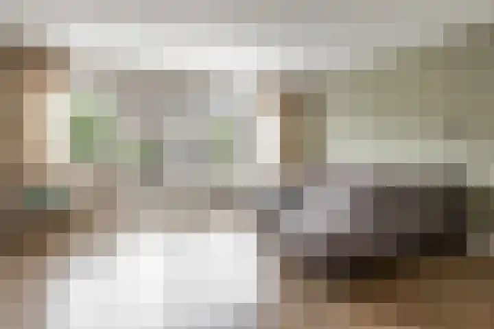 Hemminckmate 24 Zwolle thumbnail 5