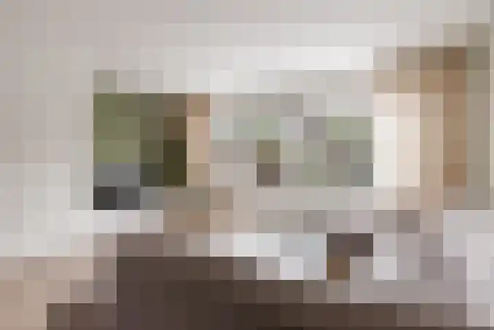 Hemminckmate 24 Zwolle thumbnail 6