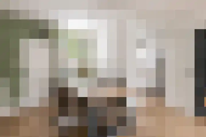 Hemminckmate 24 Zwolle thumbnail 8