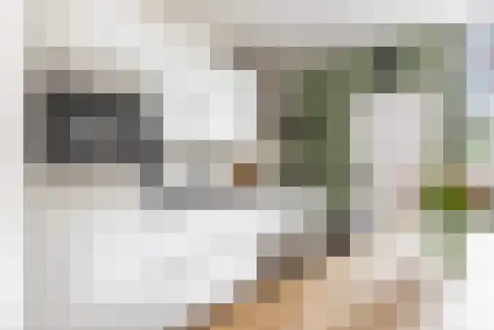 Hemminckmate 24 Zwolle thumbnail 9