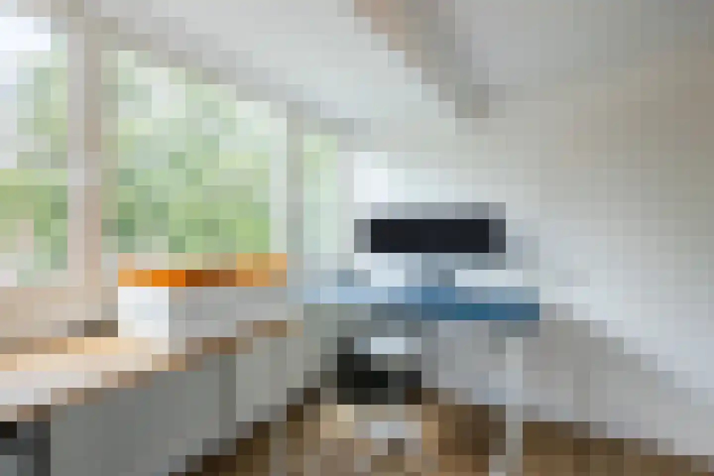 Hemminckmate 38 Zwolle thumbnail 37