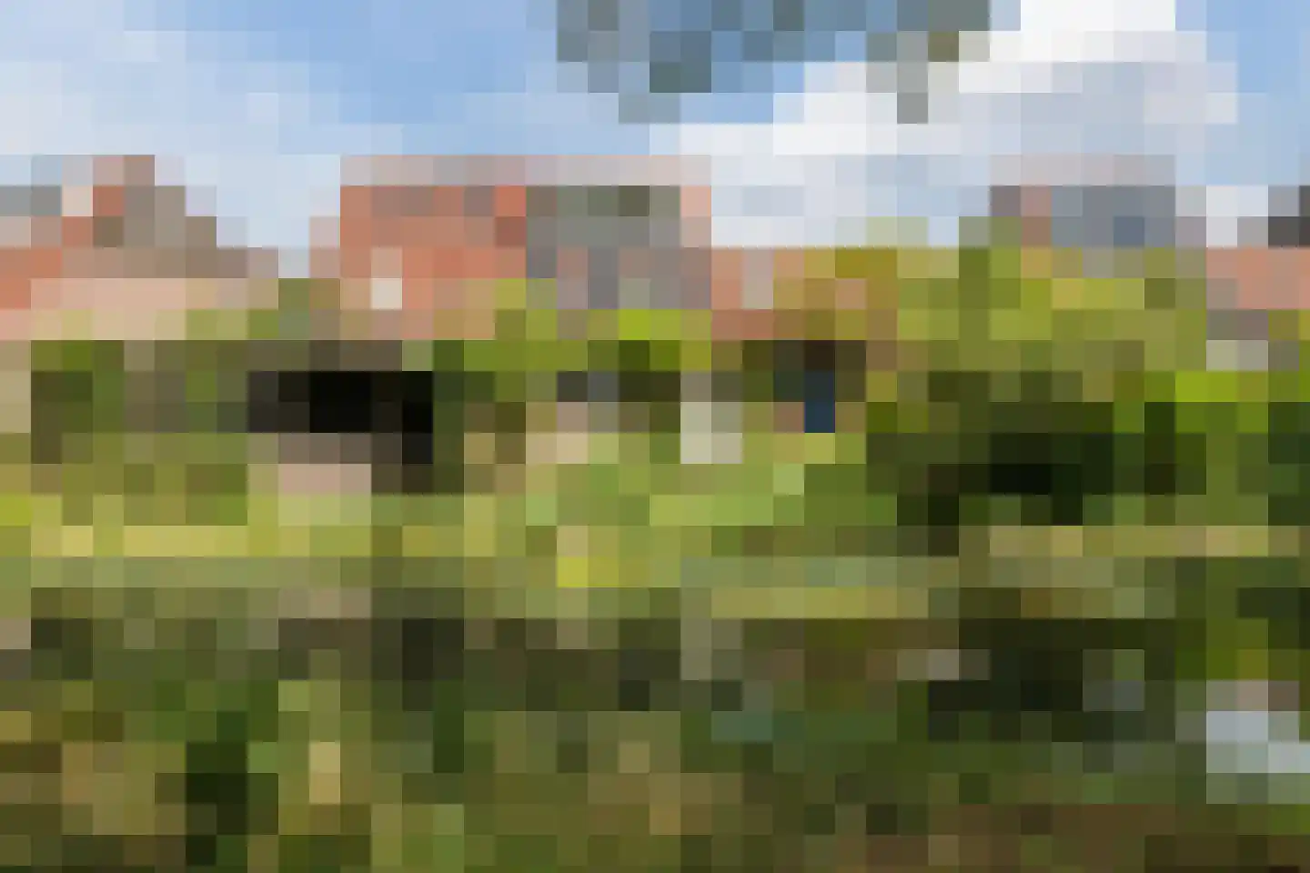 Hemminckmate 38 Zwolle thumbnail 45