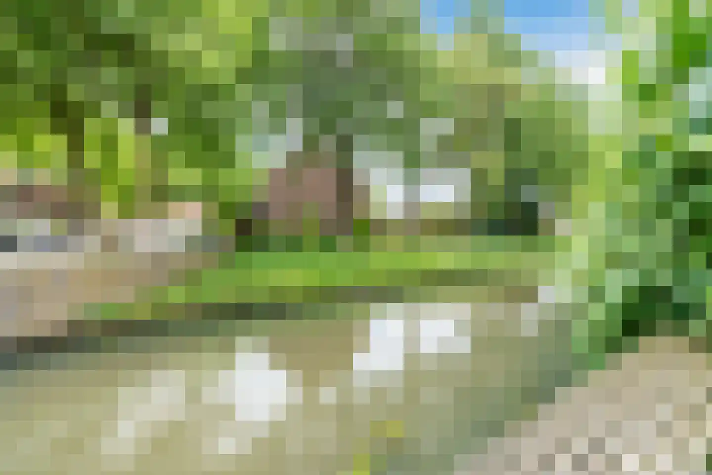 Hemminckmate 46 Zwolle thumbnail 32