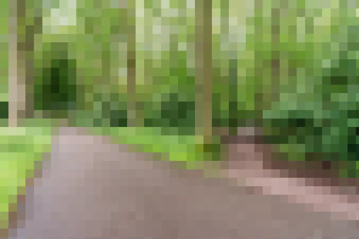 Hemminckmate 46 Zwolle thumbnail 36