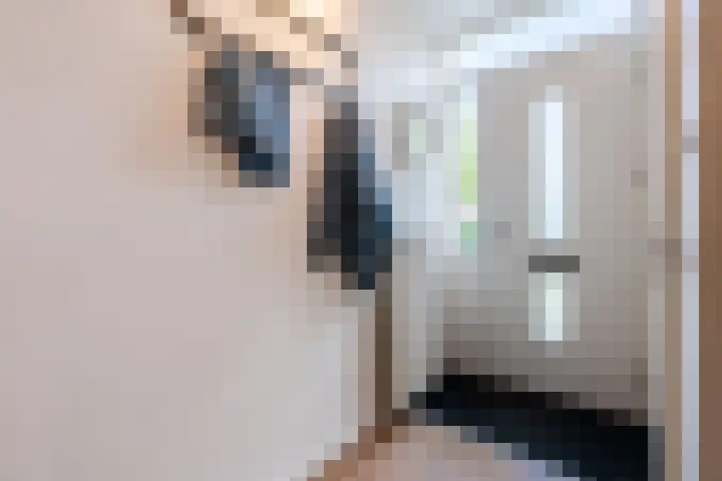 Hemminckmate 46 Zwolle thumbnail 7
