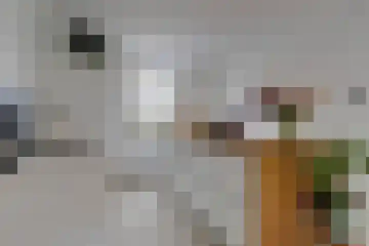 Hemonylaan 10 Arnhem thumbnail 10