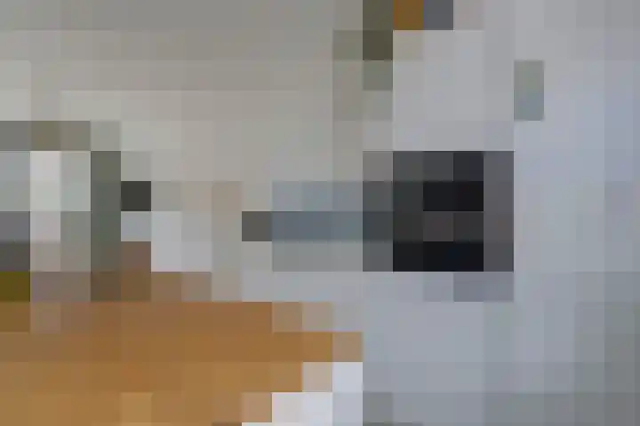 Hemonylaan 10 Arnhem thumbnail 13
