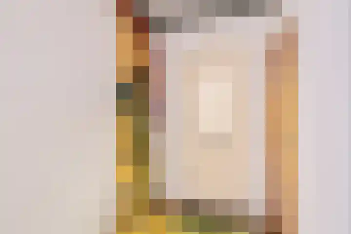 Hemonylaan 10 Arnhem thumbnail 17