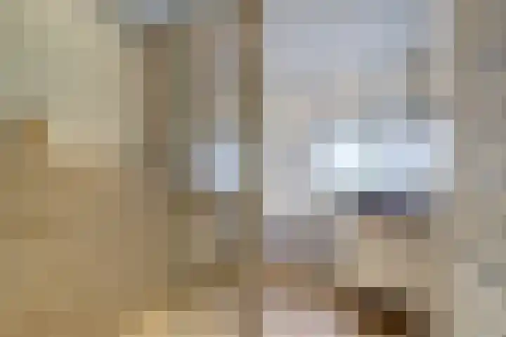 Hemonylaan 10 Arnhem thumbnail 20