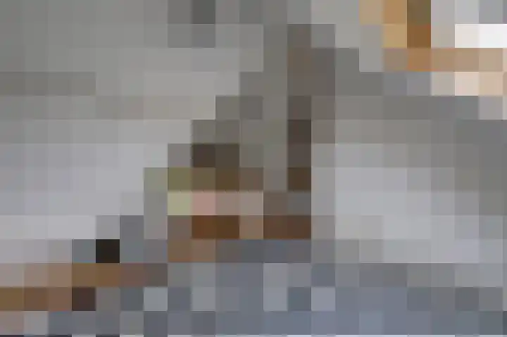 Hemonylaan 10 Arnhem thumbnail 23