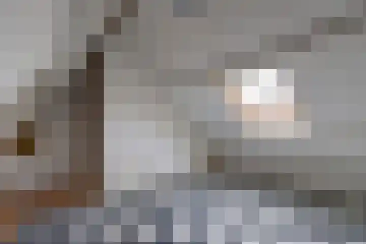 Hemonylaan 10 Arnhem thumbnail 24
