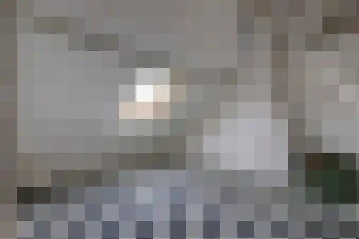 Hemonylaan 10 Arnhem thumbnail 25