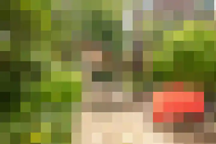 Hemonylaan 10 Arnhem thumbnail 27