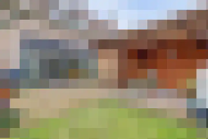 Hemonylaan 10 Arnhem thumbnail 27