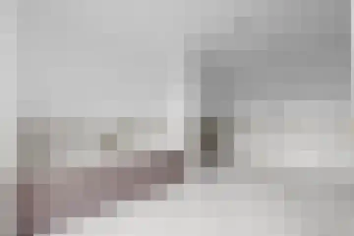 Hemonylaan 10 Arnhem thumbnail 28