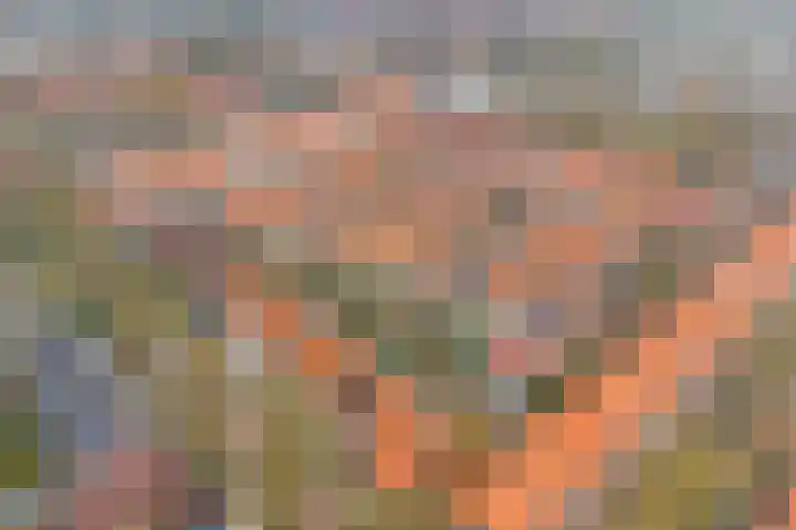 Hemonylaan 10 Arnhem thumbnail 31