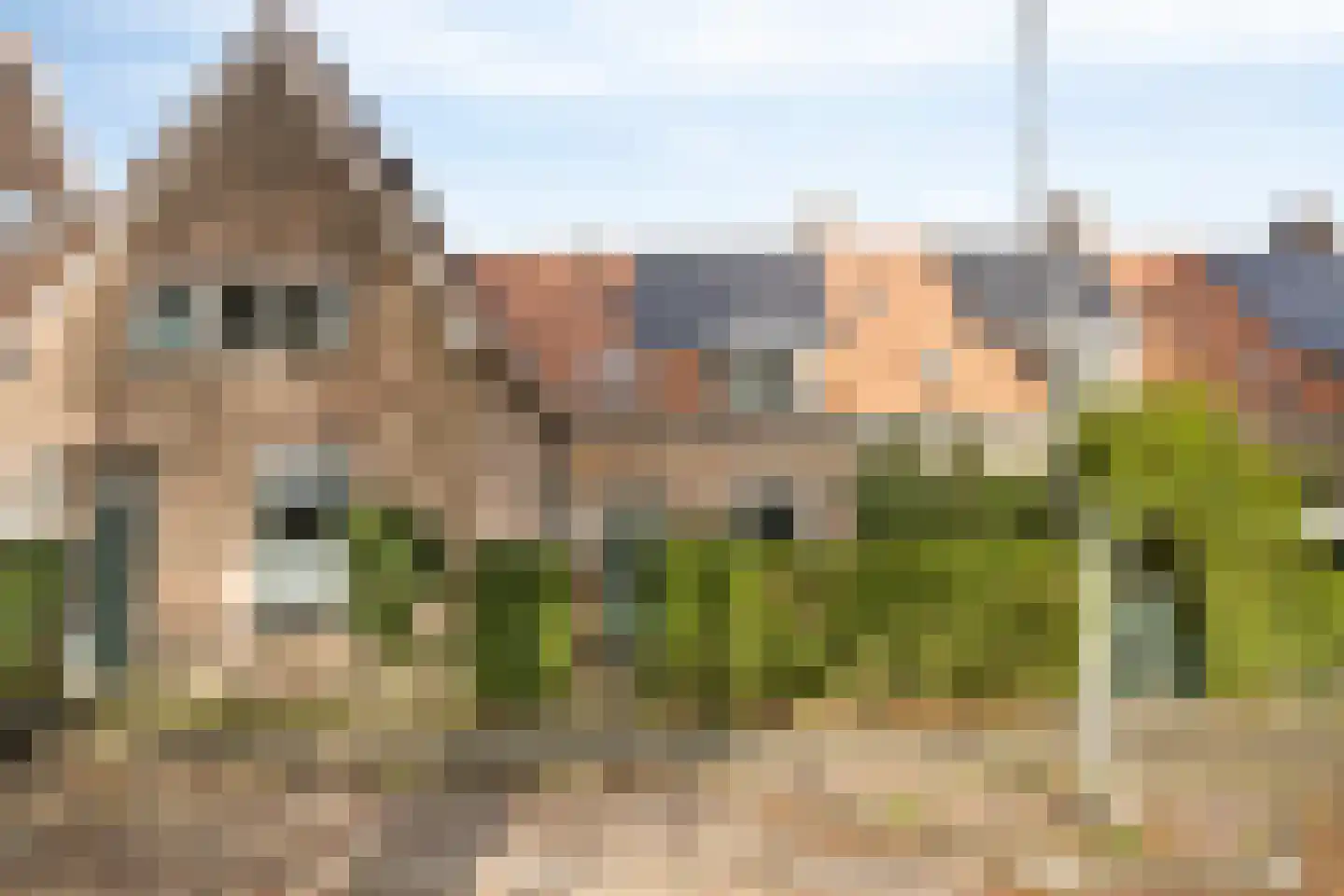 Hemonylaan 15 Arnhem
