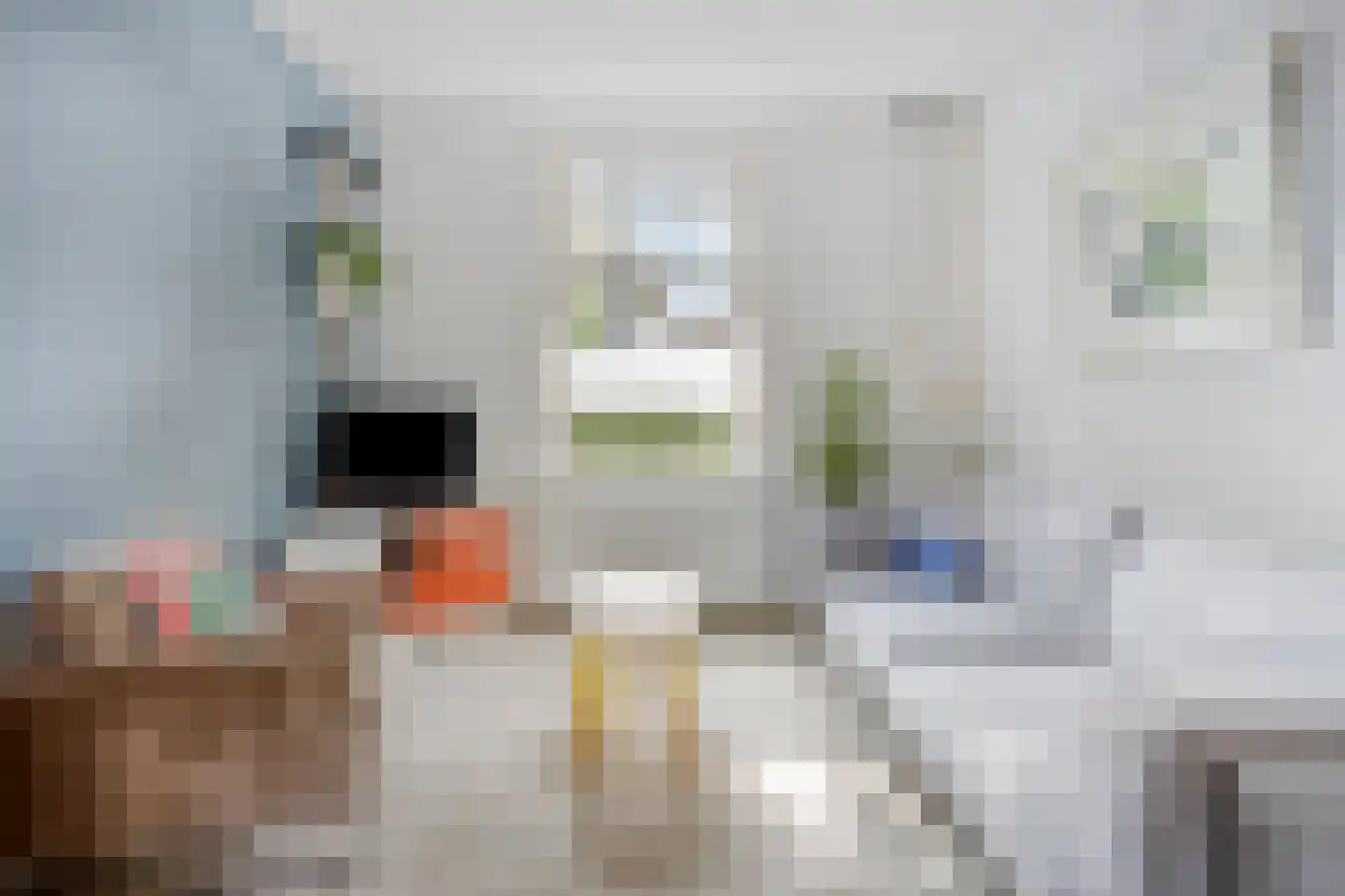 Hemonylaan 15 Arnhem thumbnail 11