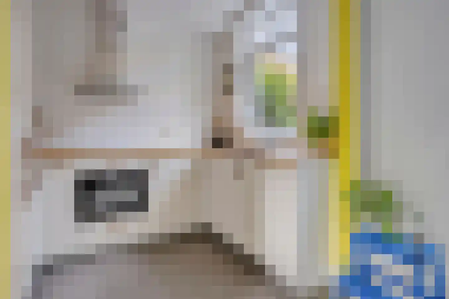 Hemonylaan 15 Arnhem thumbnail 14