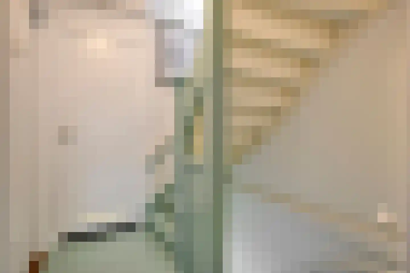 Hemonylaan 15 Arnhem thumbnail 19