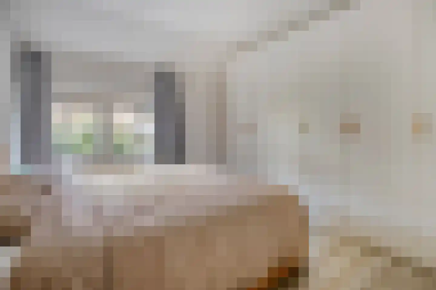Hemonylaan 15 Arnhem thumbnail 20
