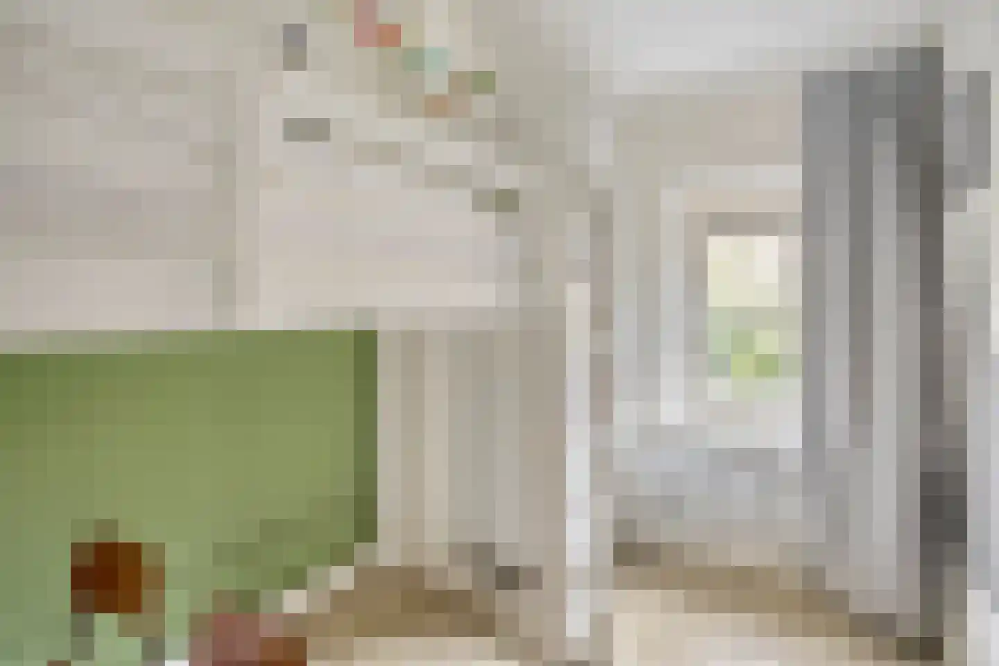 Hemonylaan 15 Arnhem thumbnail 25