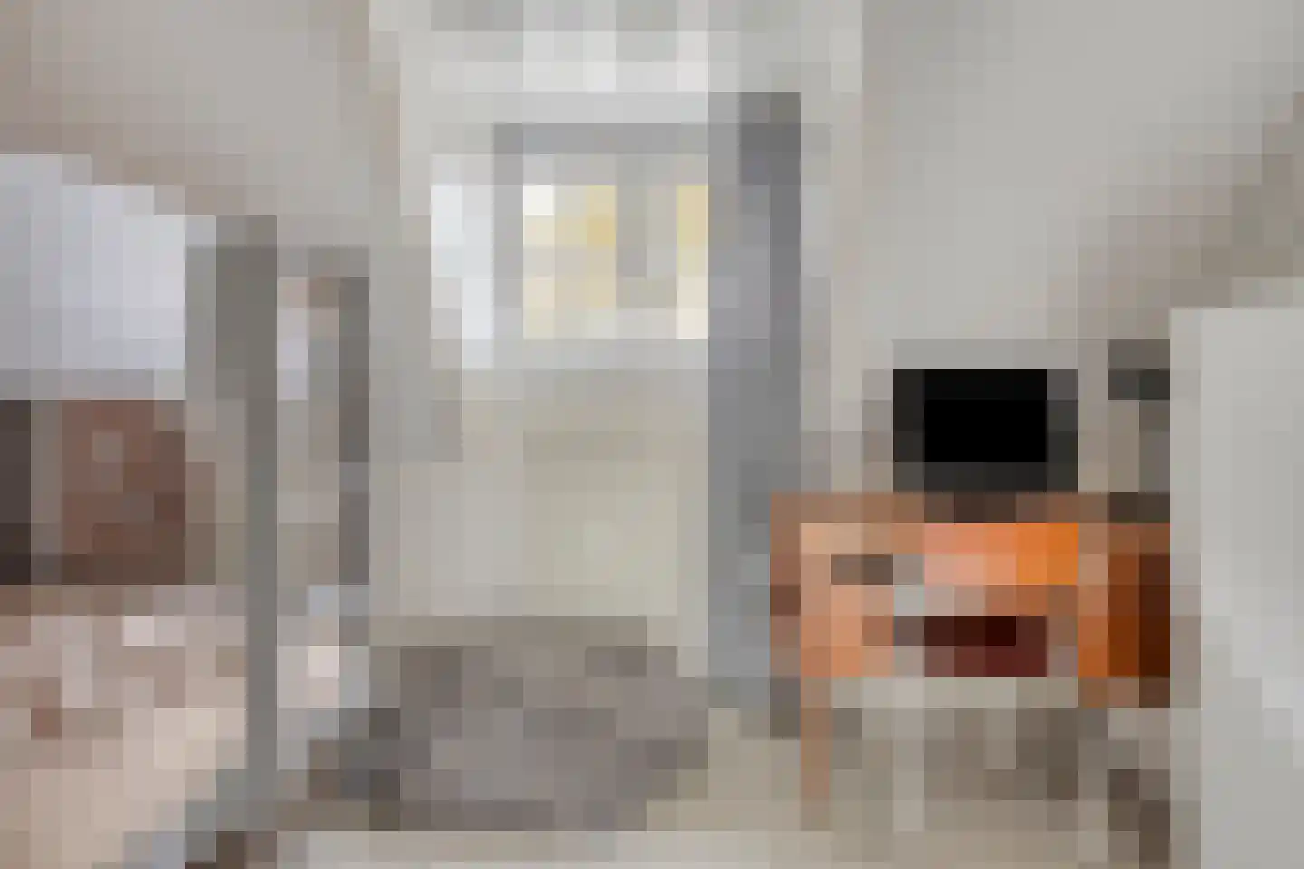 Hemonylaan 15 Arnhem thumbnail 26