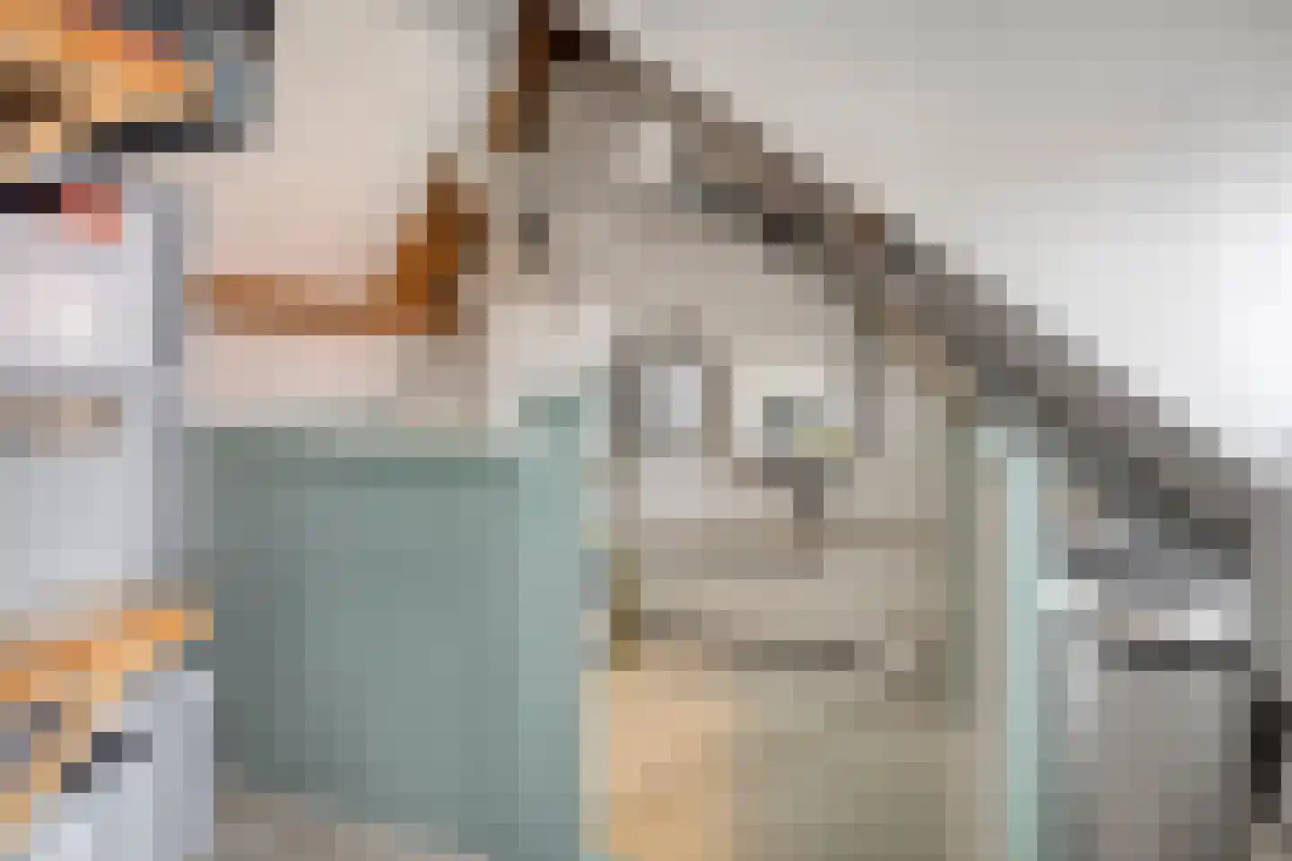 Hemonylaan 15 Arnhem thumbnail 29