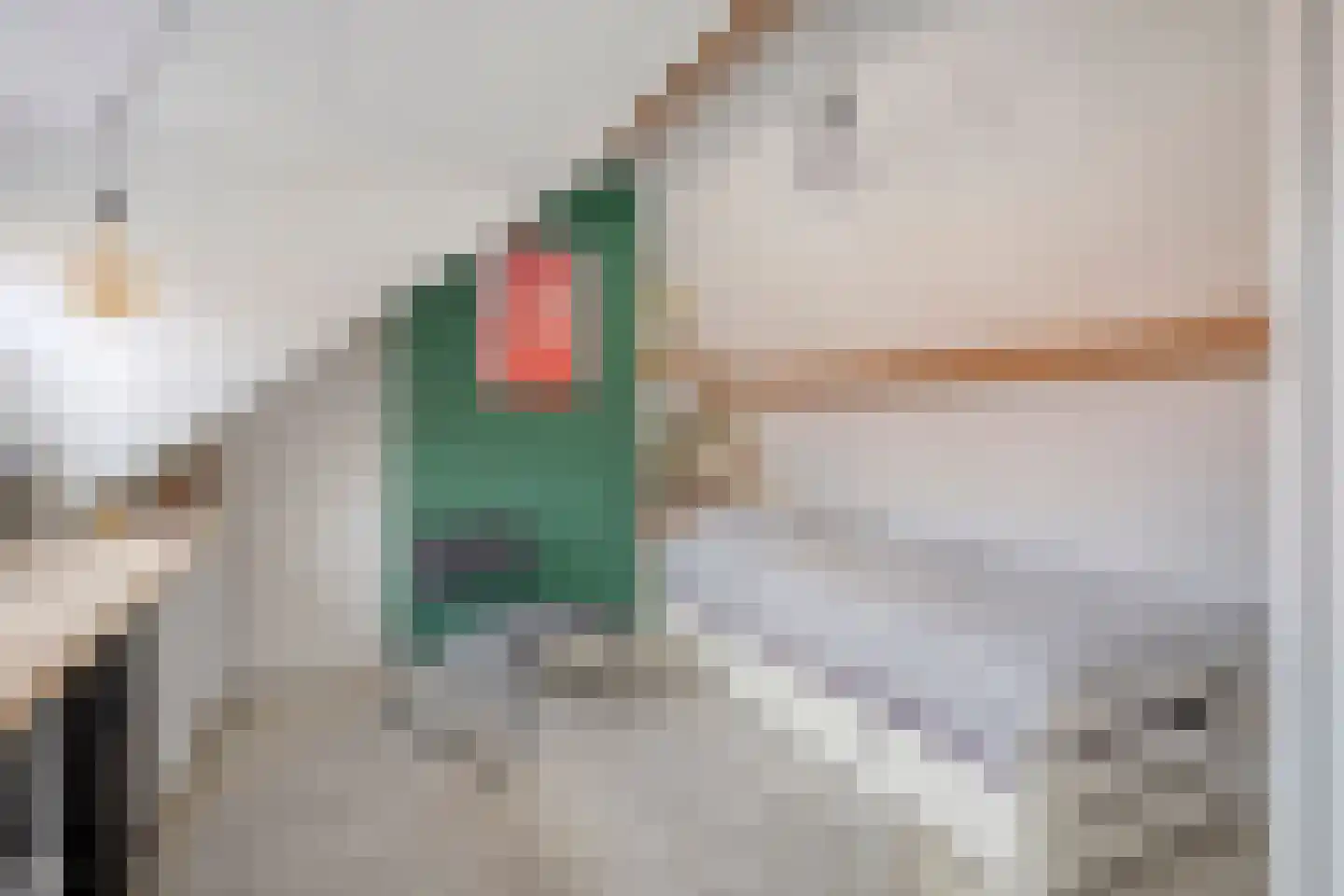 Hemonylaan 15 Arnhem thumbnail 30