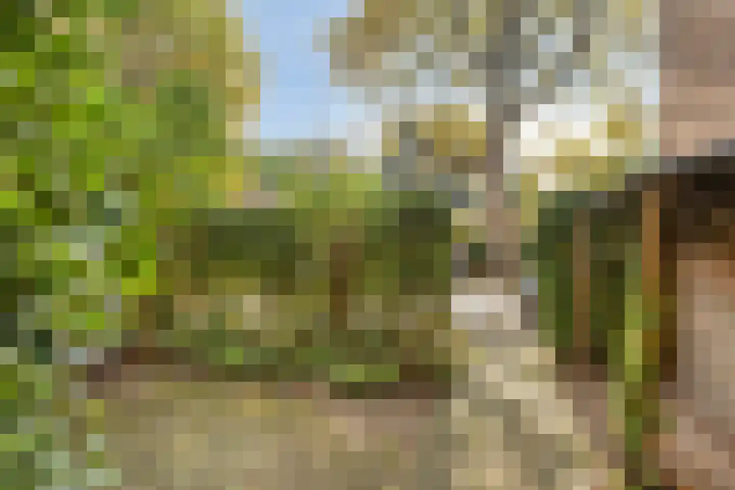 Hemonylaan 15 Arnhem thumbnail 31