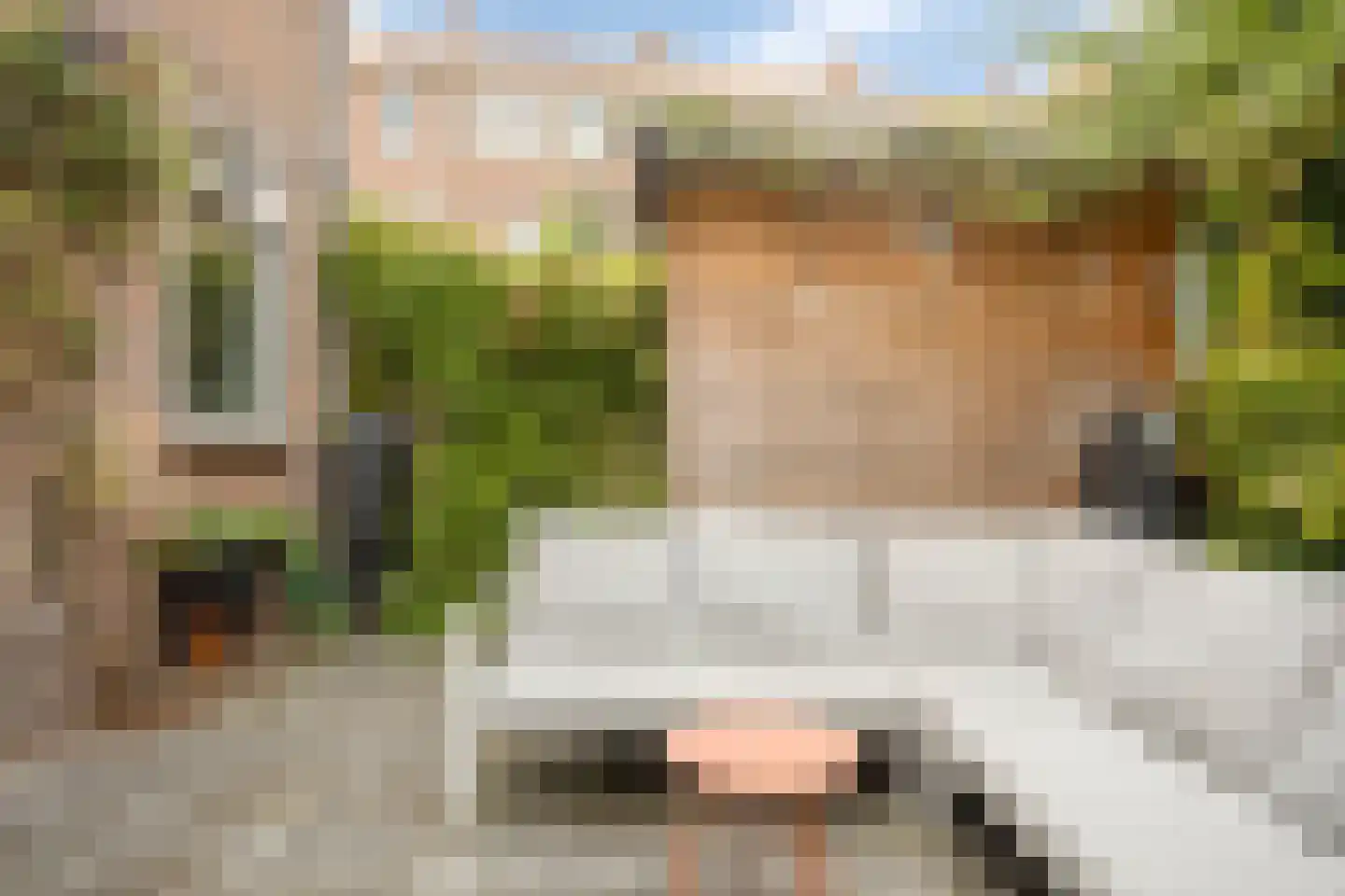 Hemonylaan 15 Arnhem thumbnail 34