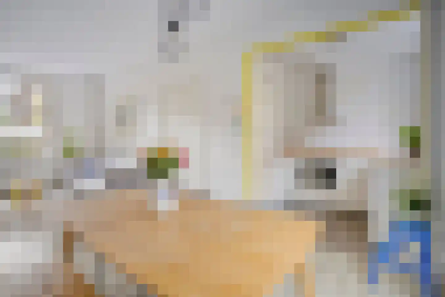 Hemonylaan 15 Arnhem thumbnail 5
