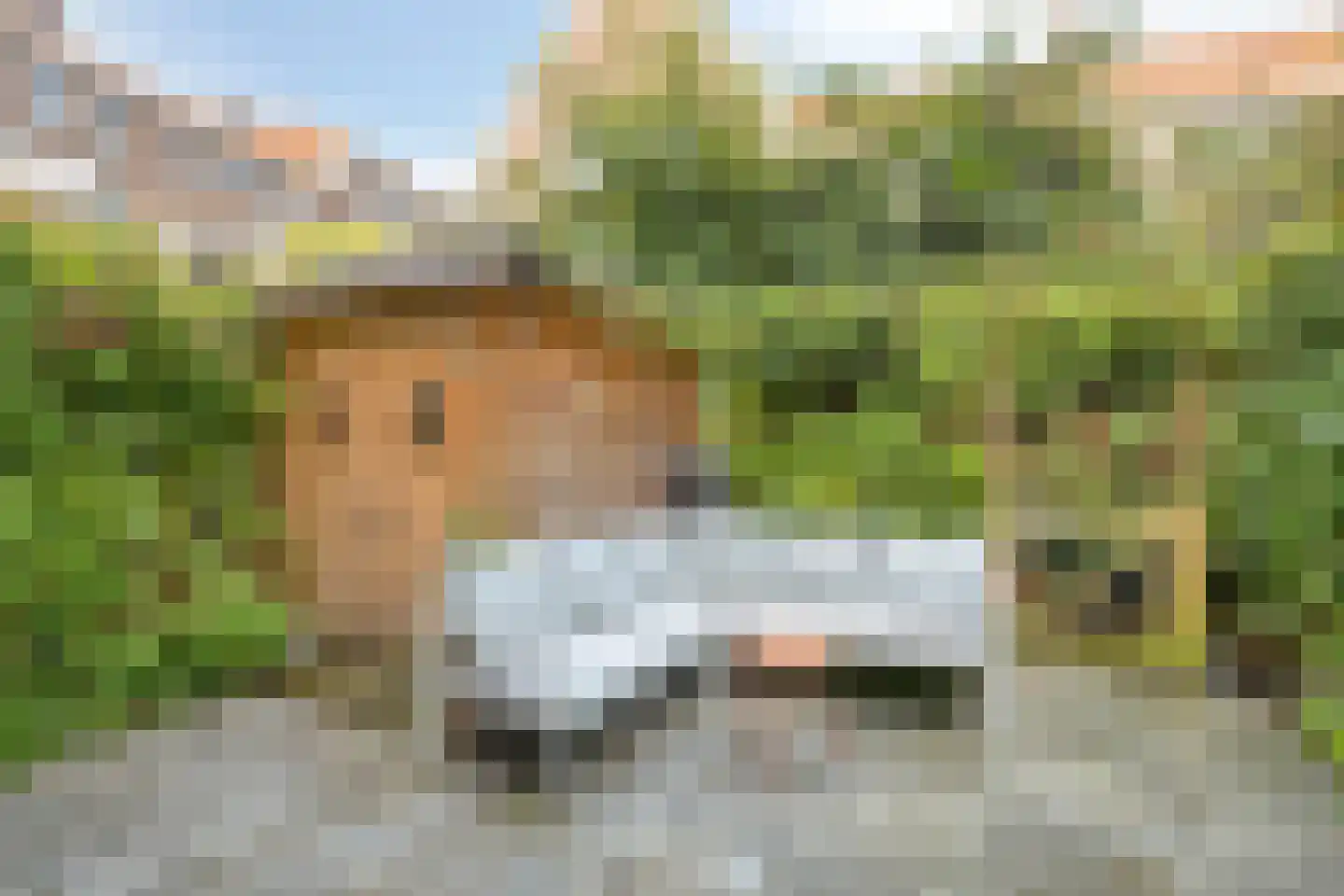 Hemonylaan 15 Arnhem thumbnail 6