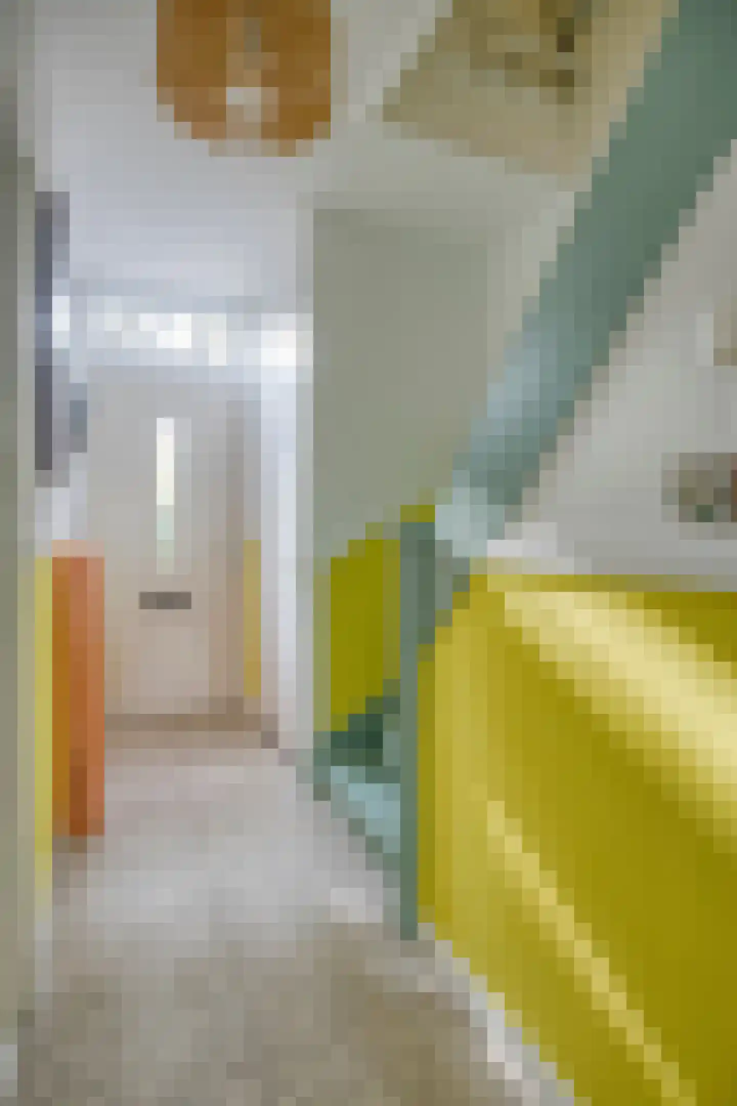 Hemonylaan 15 Arnhem thumbnail 7
