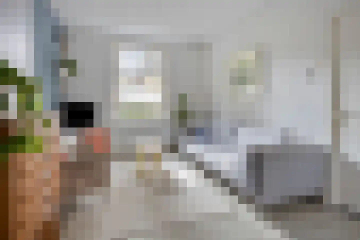 Hemonylaan 15 Arnhem thumbnail 9