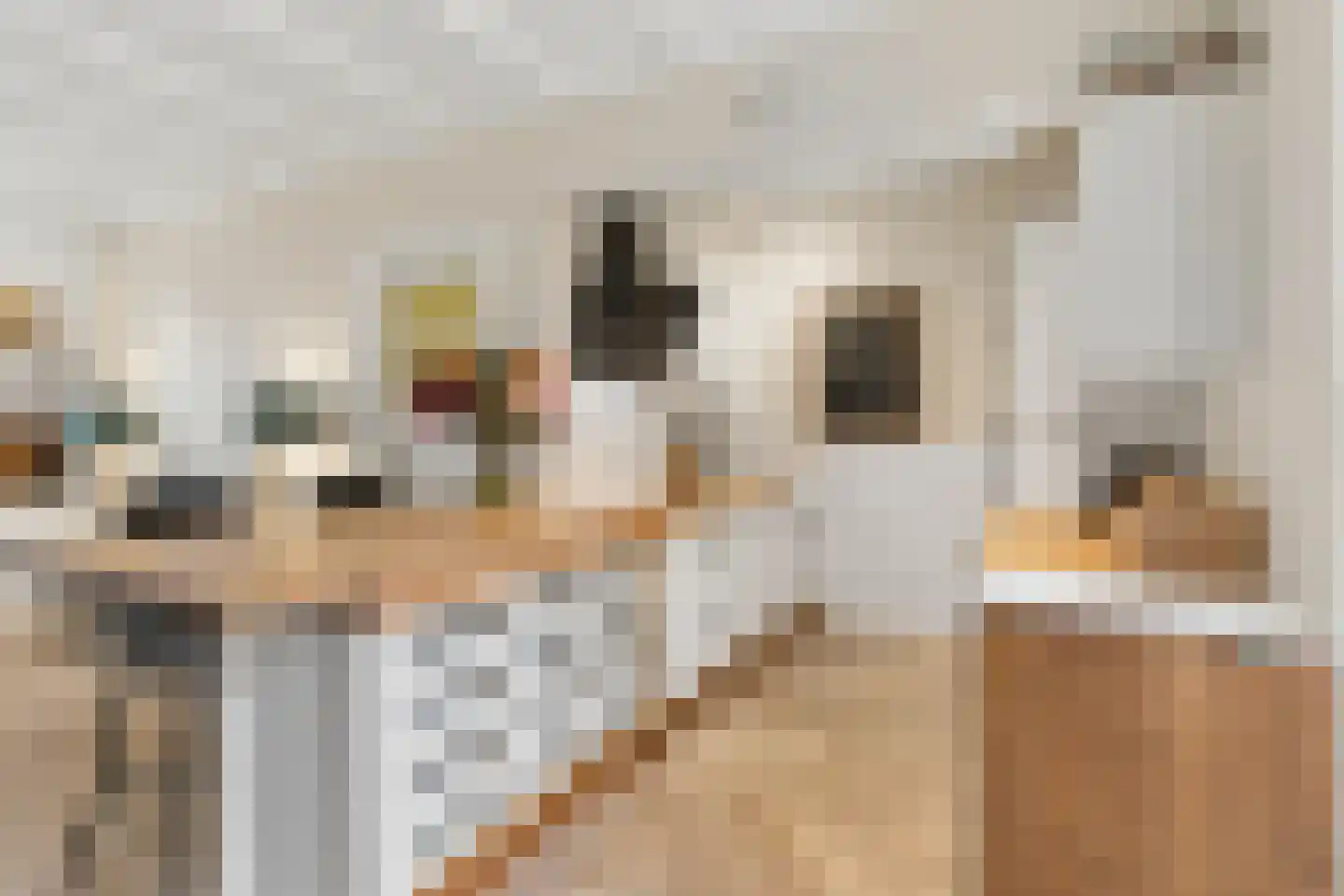 Hemonylaan 16 Arnhem thumbnail 11