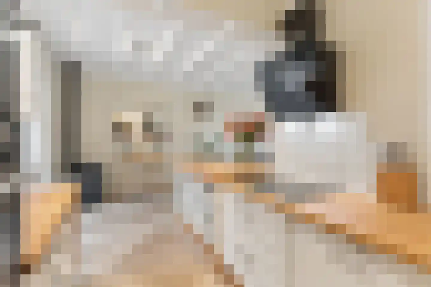 Hemonylaan 16 Arnhem thumbnail 12