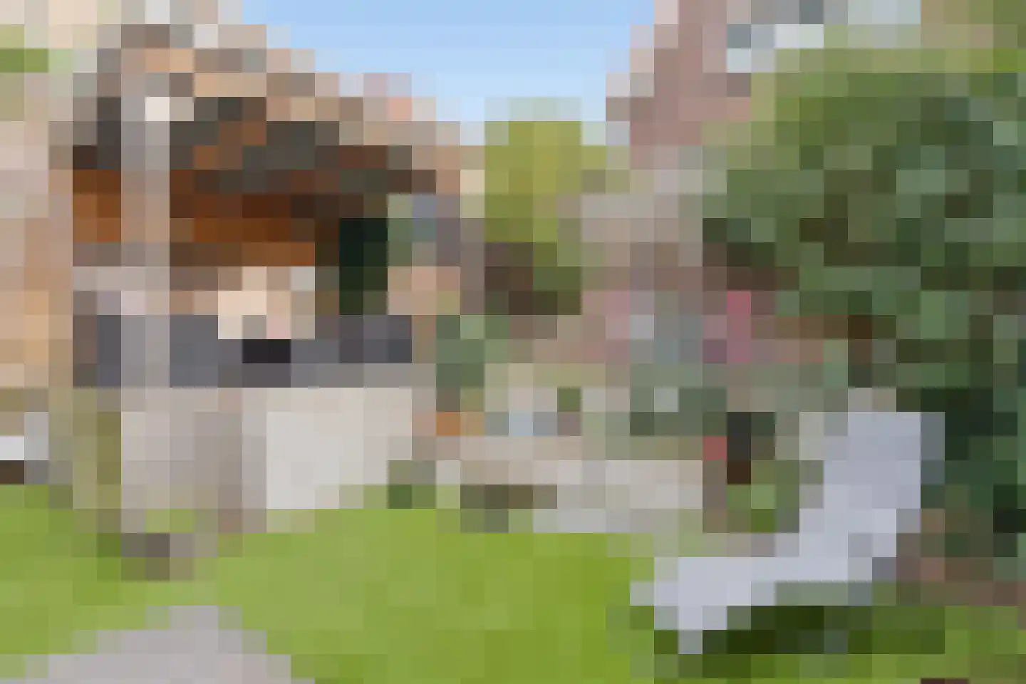 Hemonylaan 16 Arnhem thumbnail 16
