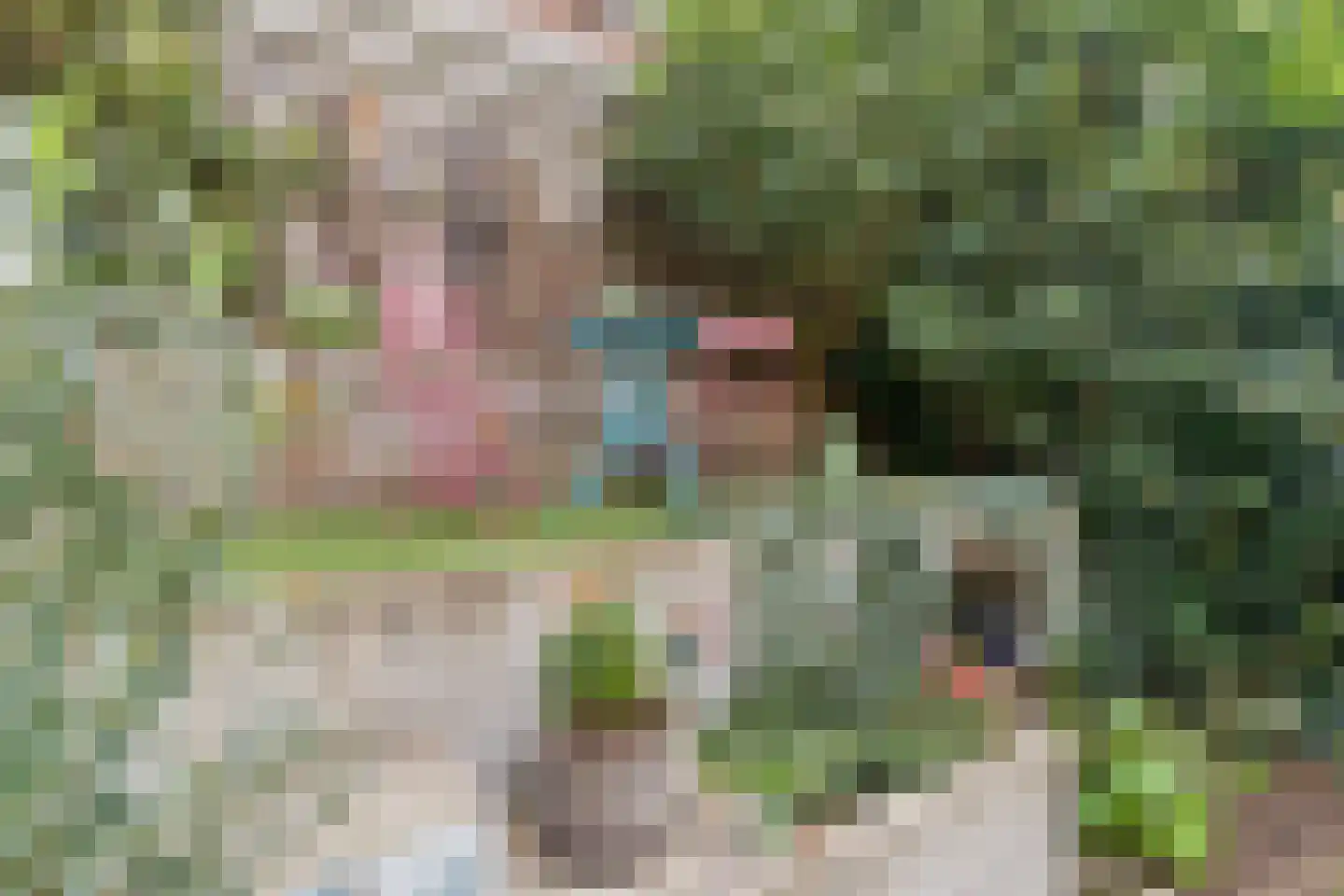 Hemonylaan 16 Arnhem thumbnail 17
