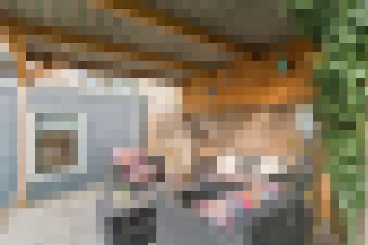 Hemonylaan 16 Arnhem thumbnail 19