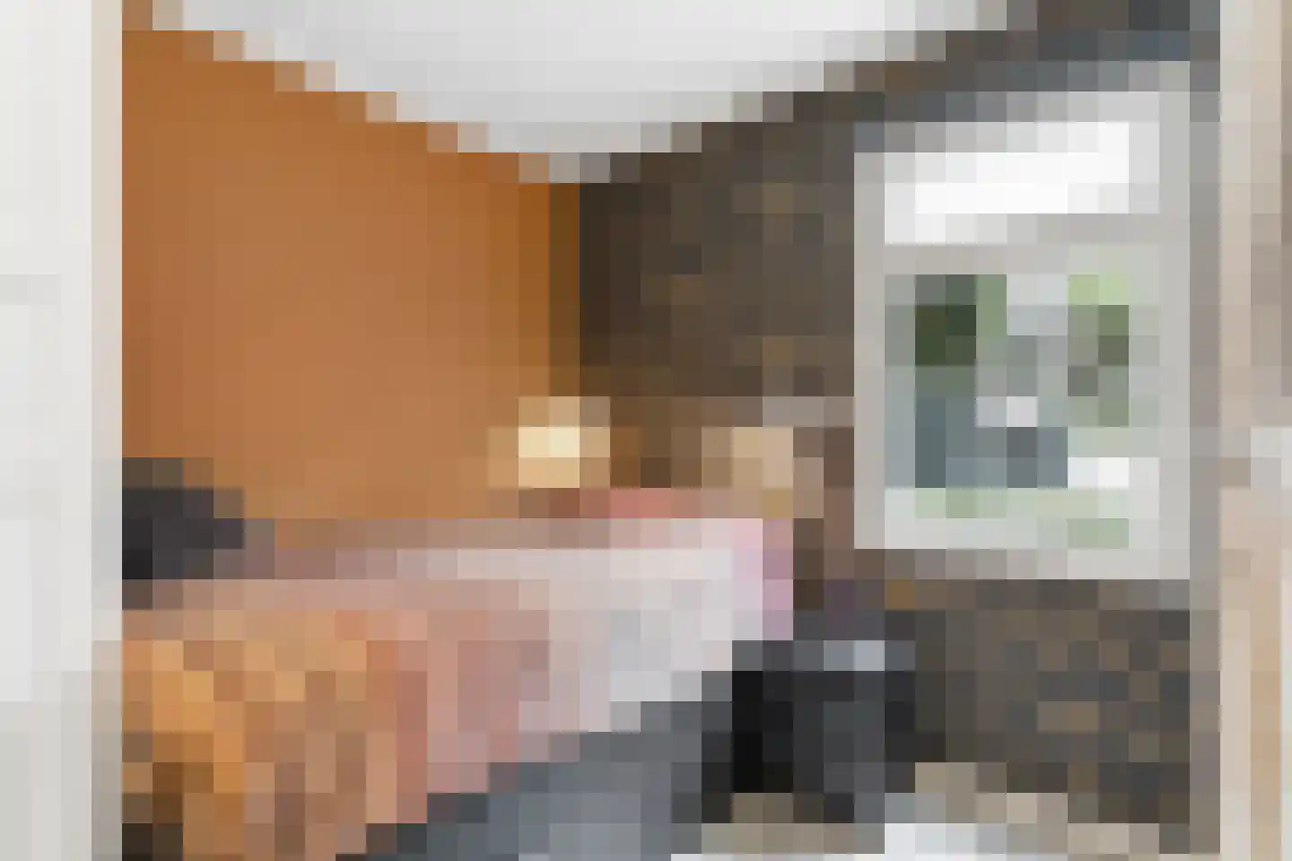 Hemonylaan 16 Arnhem thumbnail 20