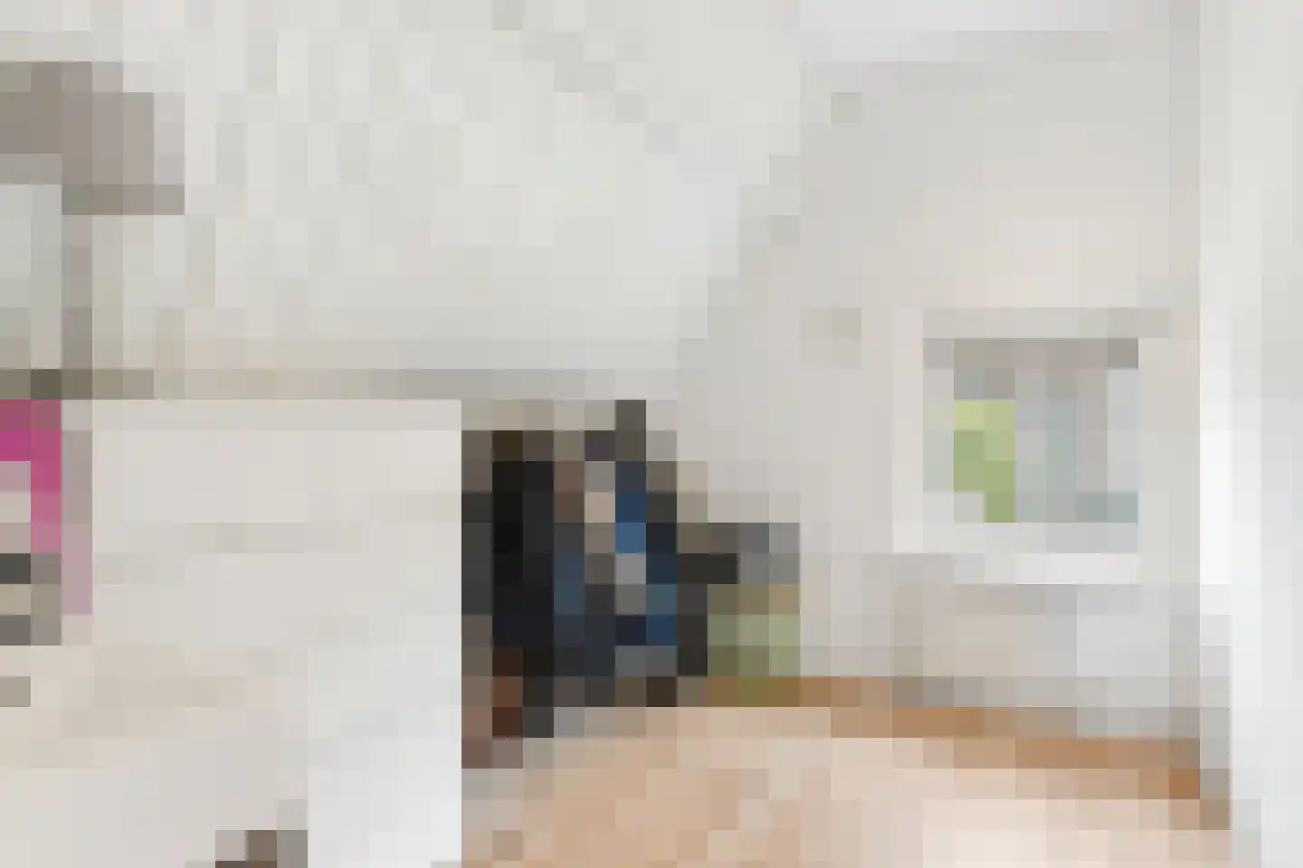 Hemonylaan 16 Arnhem thumbnail 29