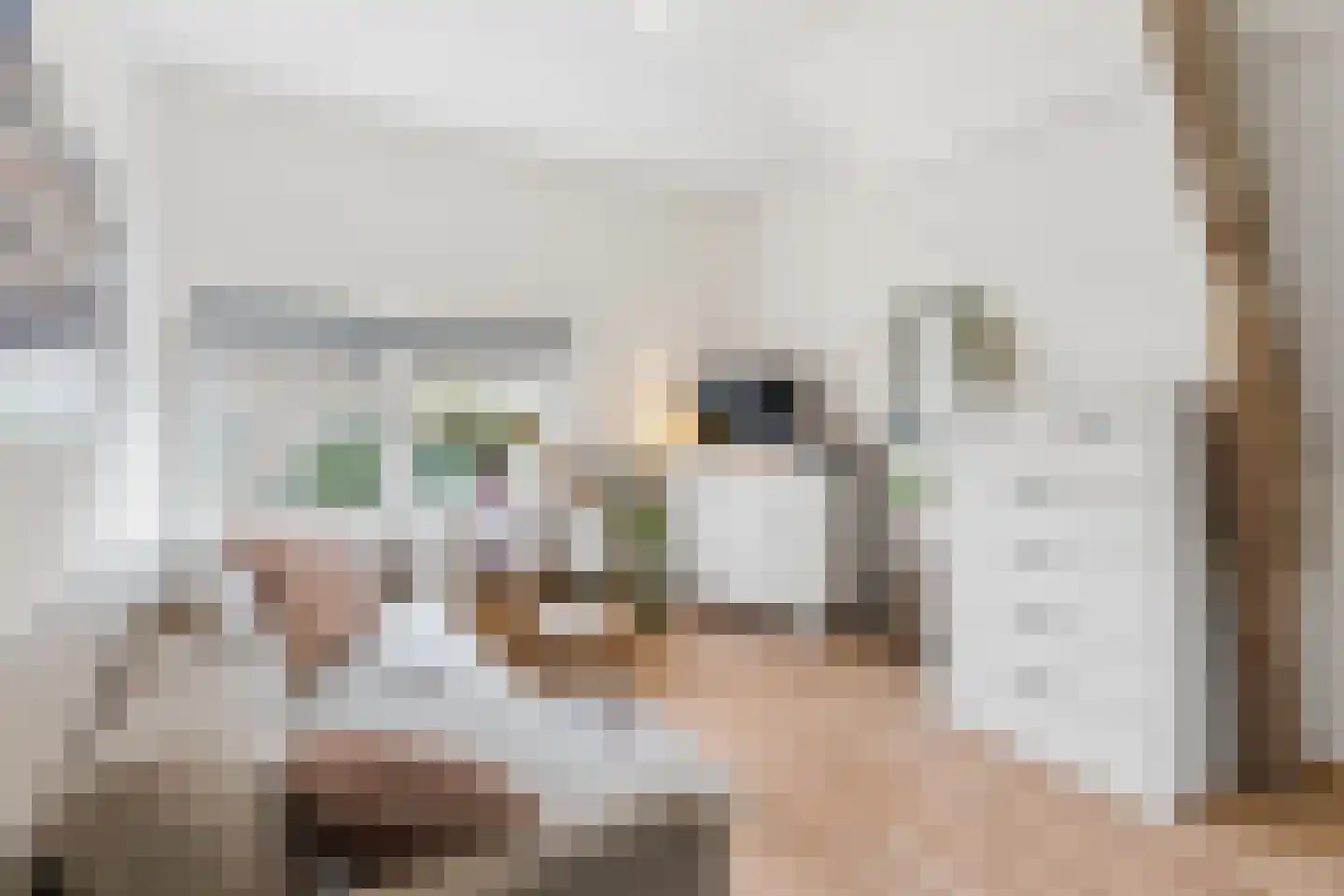 Hemonylaan 16 Arnhem thumbnail 30