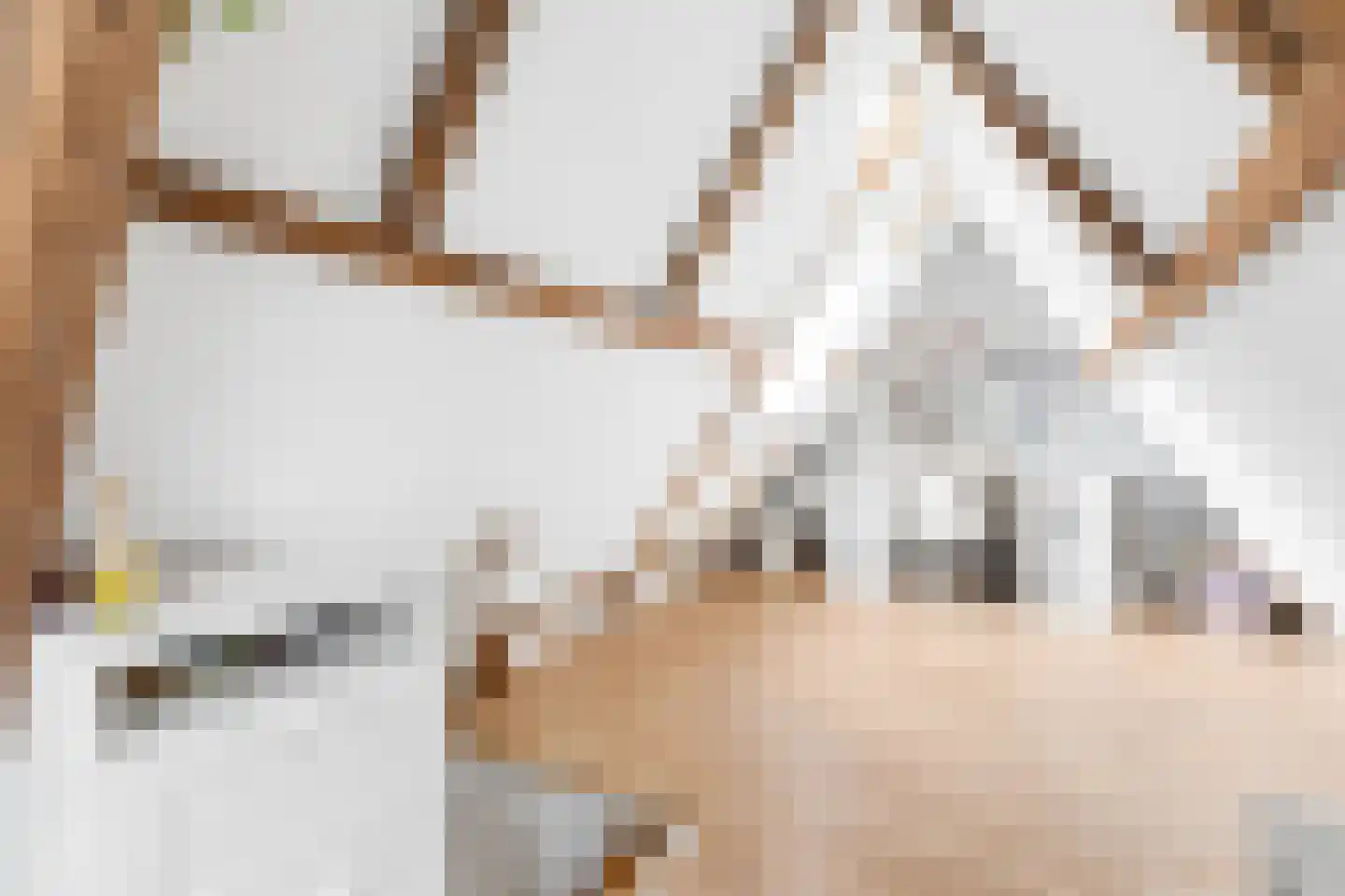 Hemonylaan 16 Arnhem thumbnail 33